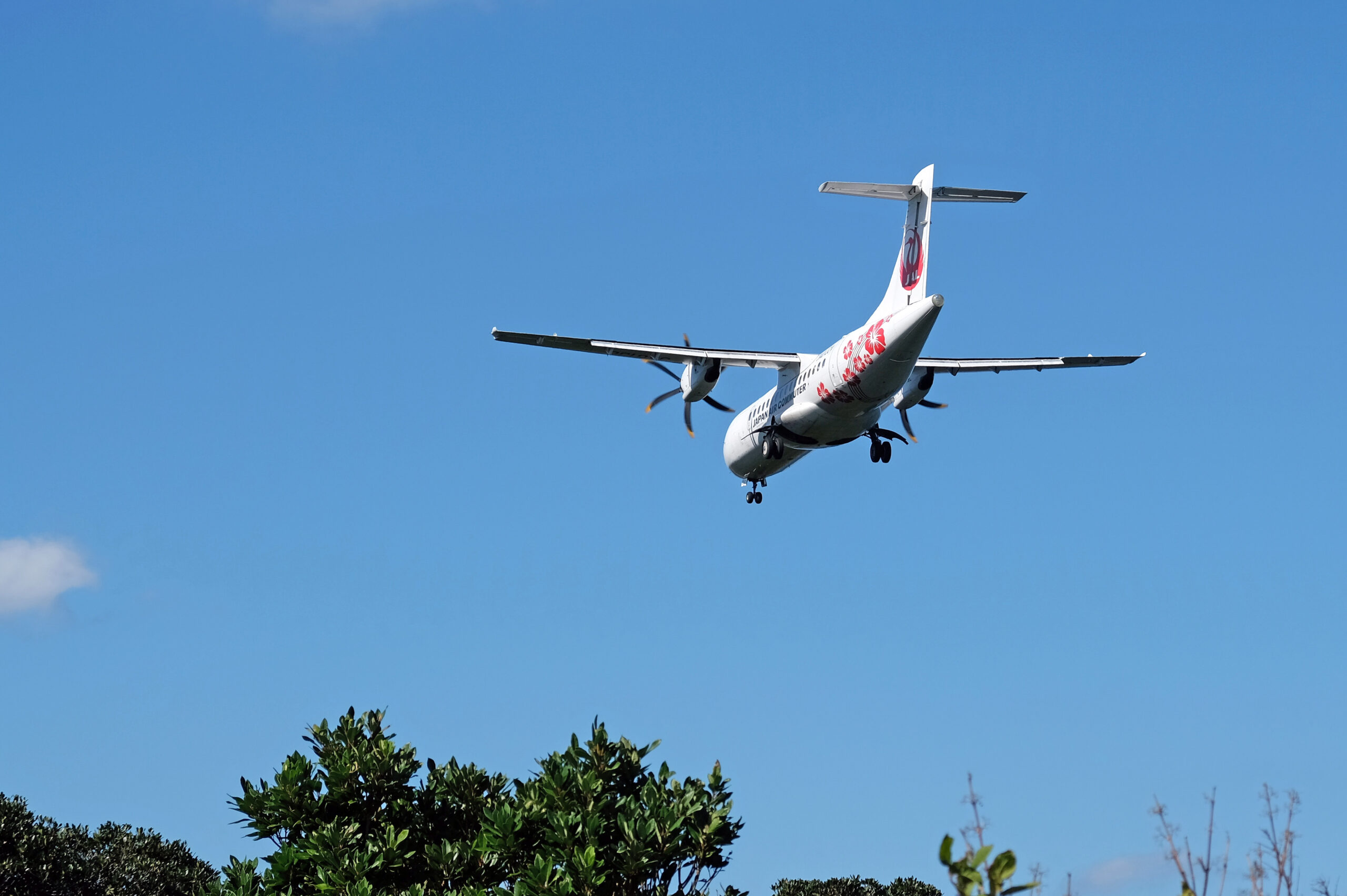 屋久島空港に着陸するJAL飛行機