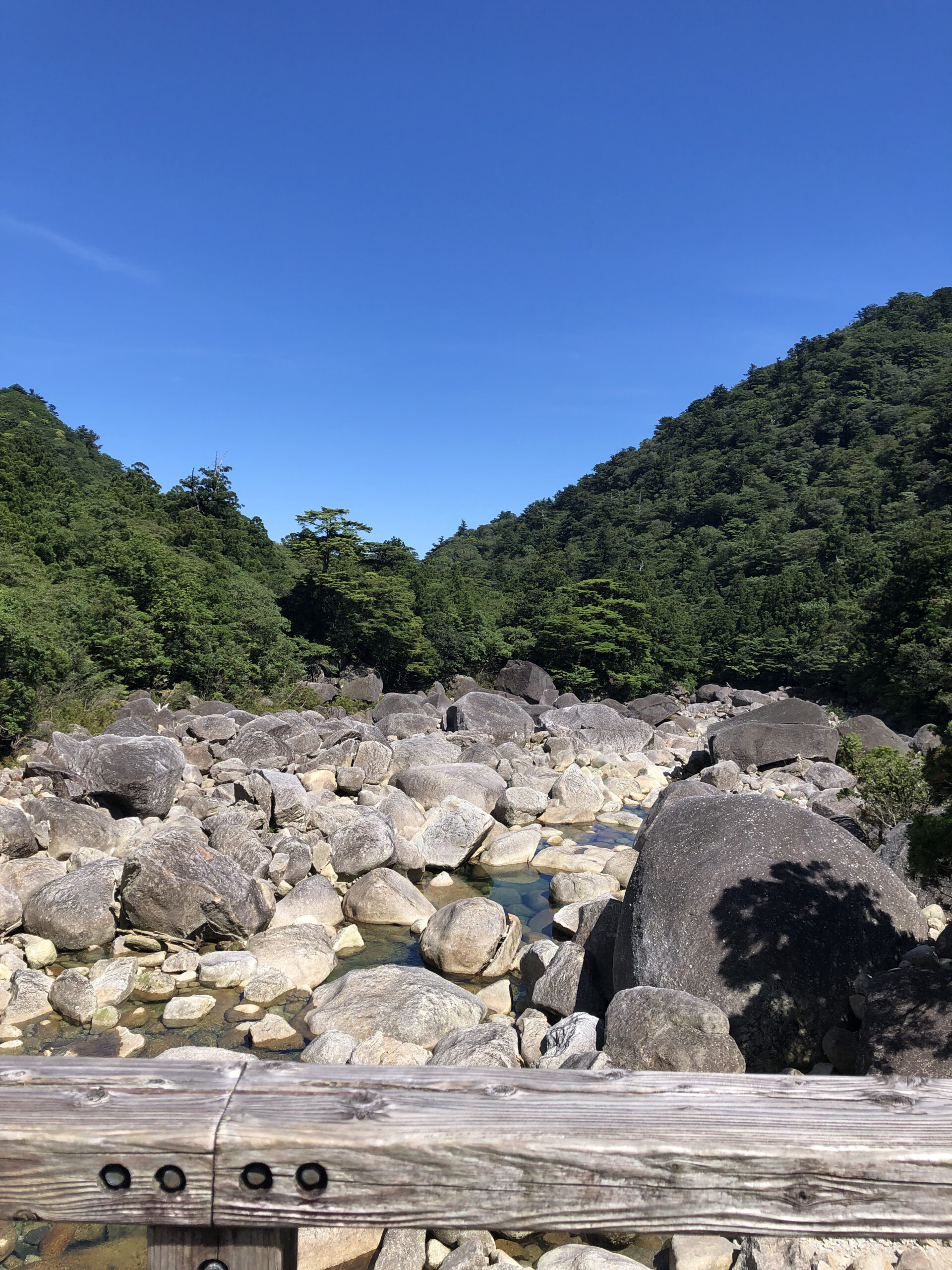 小杉谷橋からの景色