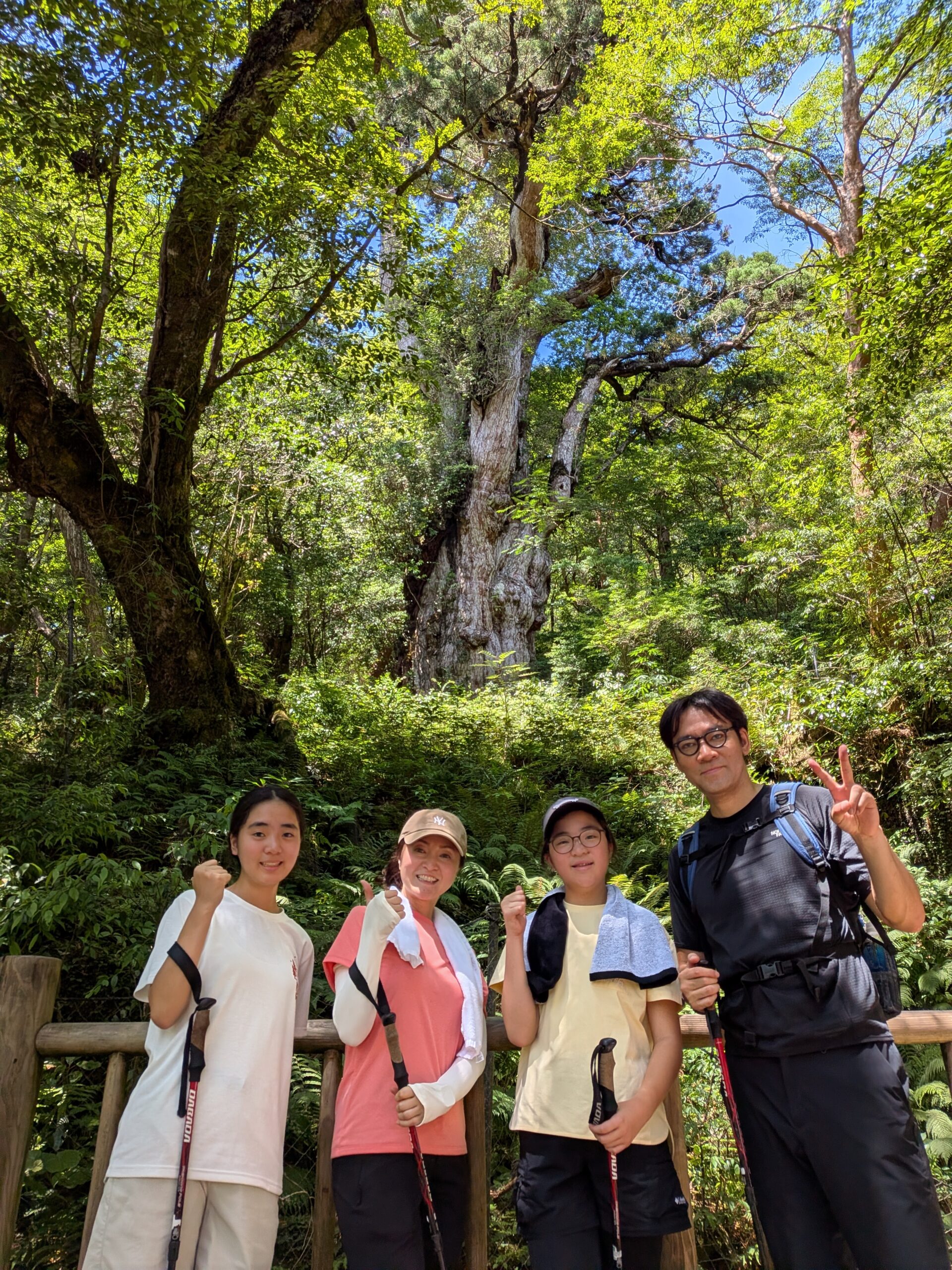 家族貸切縄文杉ツアー
